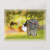 Homeward Bond Briefkaart (Voorkant)