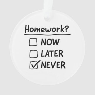 Homework nooit ornament