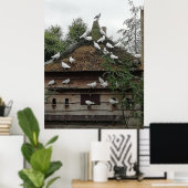 Homing pigeons in their house. poster (Thuiskantoor)