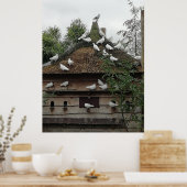 Homing pigeons in their house. poster (Keuken)
