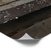 Homing pigeons in their house. poster (Hoek)