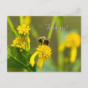 Hommage aan hommel ansichtkaart briefkaart