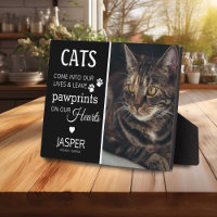 Hommage aan kattenliefhebbers | Aandenken