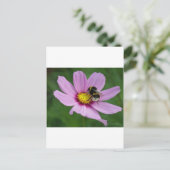 hommel briefkaart (Staand voorkant)