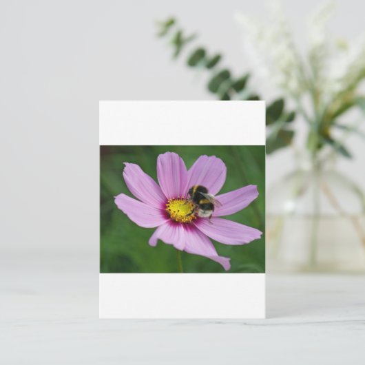 hommel briefkaart (Staand voorkant)