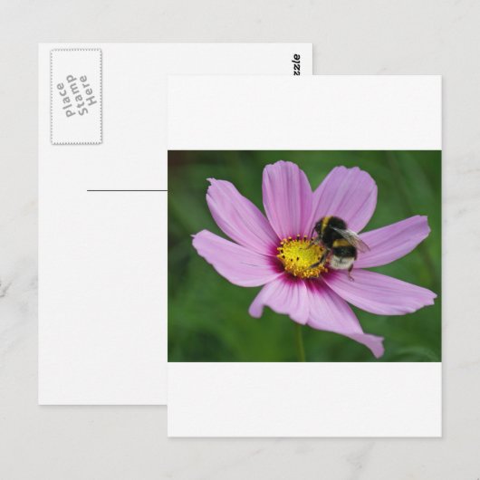 hommel briefkaart (Voorkant / Achterkant)