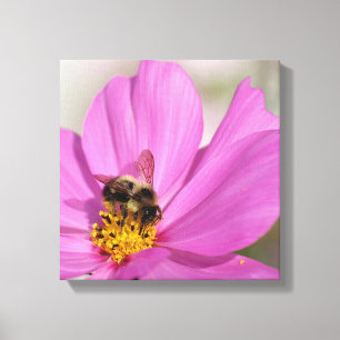 Hommel en kosmos canvas afdruk