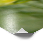 Hommel en witte dahlia foto foto afdruk (Hoek)