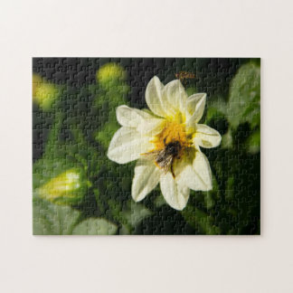 Hommel en witte dahlia foto legpuzzel