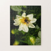 Hommel en witte dahlia foto legpuzzel (Verticaal)