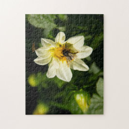 Hommel en witte dahlia foto legpuzzel