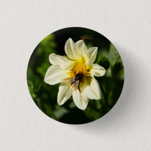 Hommel en witte dahlia foto ronde button 3,2 cm