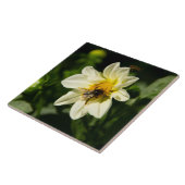 Hommel en witte dahlia foto tegeltje (Zijkant)