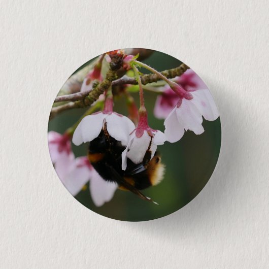 Hommel in Bloesem Badge Ronde Button 3,2 Cm (Voorkant)