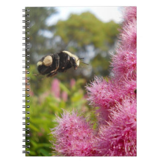 hommel notitieboek