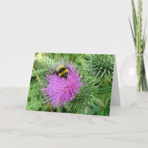 Hommel op distel kaart