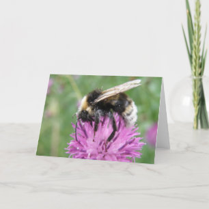 Hommel op een Wenskaart van de Distel Kaart