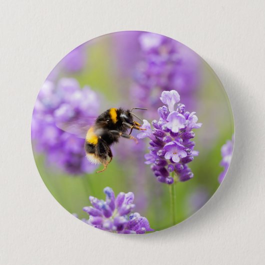 hommel op lavendel ronde button 7,6 cm (Voorkant)