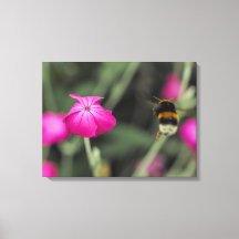 Hommel vliegt naar bloem Botanische foto