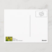 Hommeldankkaart Briefkaart (Achterkant)