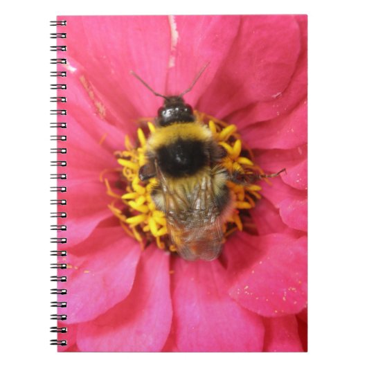 Hommelnotebook Notitieboek (Voorkant)