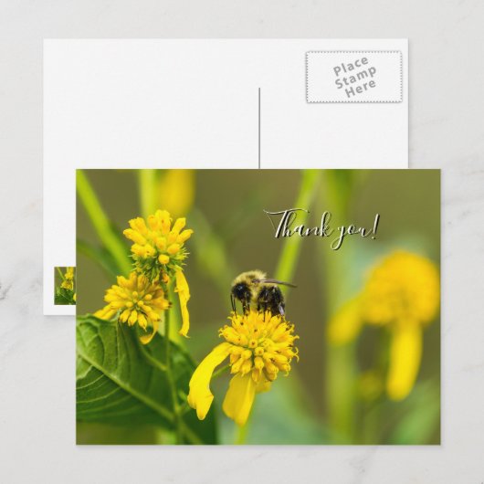 Hommels Bedankkaartje Briefkaart (Voorkant / Achterkant)