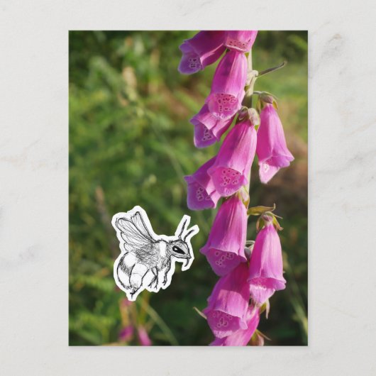 Hommels Briefkaart (Voorkant)