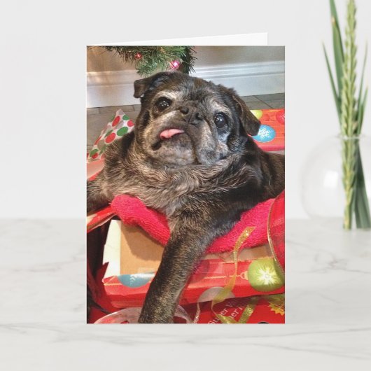 Hommels geen kerstkaart feestdagen kaart (Voorkant)