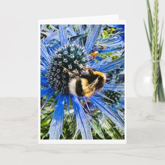 Hommels houden van blauwe distel blanke Kaart (Voorkant)