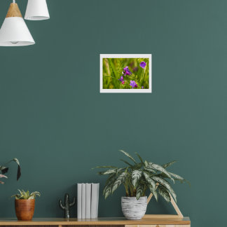 Hommels in bloei poster