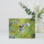 Hommels & Lavendel Briefkaart (Staand voorkant)