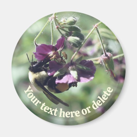 Hommels Met Stuifmeel Bloem Natuur Persoonlijk Magneet (Voorkant)