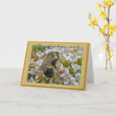 Hommels met Stuifmeelmandjes Snel Beter Kaart (Gele Bloem)