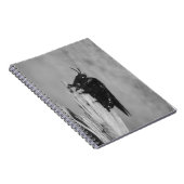 Hommels Notitieboek (Rechterzijde)