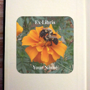 Hommels op Afrikaantje Ex-libris Vierkante Sticker