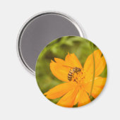 Hommels op een gele cosmos magneet (Voorkant / Achterkant)