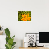 Hommels op een gele cosmos poster (Thuiskantoor)