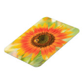 Hommels op zonnebloem, Gemeentetuin Magneet (Linkerzijde)