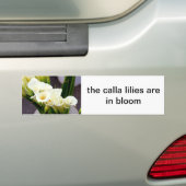 hommeltegel bumpersticker (Op auto)