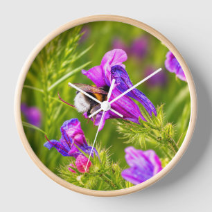 Hommeltje in Bloei - Natuur en Insectenfotografie