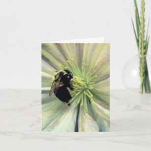Hommeltje Op Clematis Bloem Fotografie  Notitiekaartje