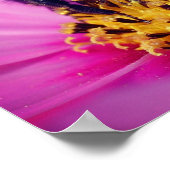 Hommeltje Op Cosmos Bloem Poster (Hoek)