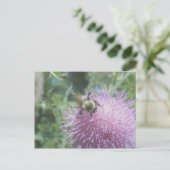 Hommeltje op Distel Ansichtkaart Briefkaart (Staand voorkant)