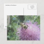 Hommeltje op Distel Ansichtkaart Briefkaart (Voorkant / Achterkant)