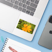 Hommeltje op een gele cosmos sticker (Laptop met iPhone)