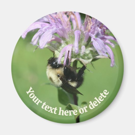 Hommeltje Op Monarda Bloem Persoonlijk Magneet (Voorkant)