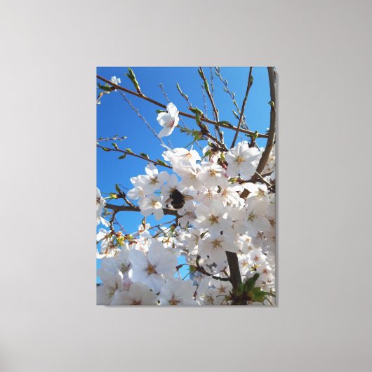 Hommeltje op wilde kersenbloesem canvas afdruk (Voorkant)