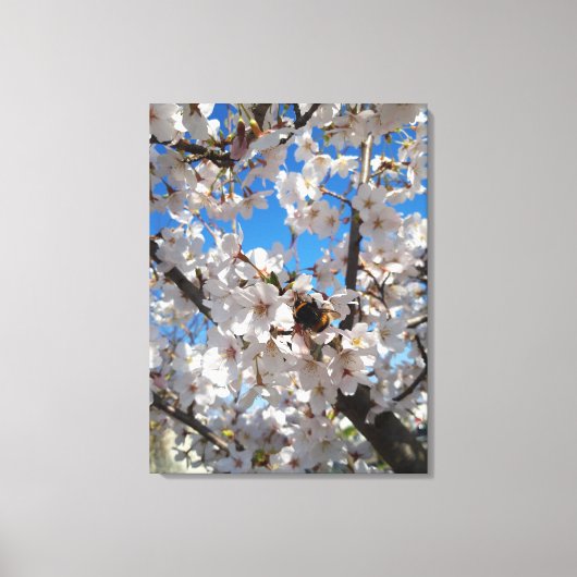 Hommeltje op wilde kersenbloesem canvas afdruk (Voorkant)