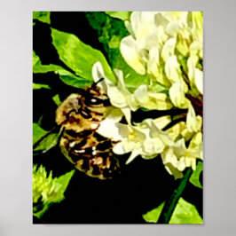 Hommop Poster