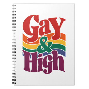 Homo en hoog retro LGBTQ trotsvlag Notitieboek